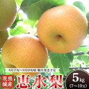 【ふるさと納税】【全国梨選手権 最高金賞受賞】茨城県産「恵水」梨 5kg【2025年8月下旬~9月中旬にかけて発送予定】【2025先行予約 果物 梨 茨城県産 なし 恵水 5kg 7~10玉 けいすい 旬 フルーツ くだもの 光センサー選別 】