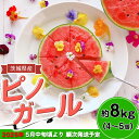 【ふるさと納税】茨城県産ピノガール約8kg(4〜5個) 先行予約【2025年5月中旬〜6月中旬ごろ発送予定】 茨城県産 フルーツ 果物 くだもの すいか スイカ...