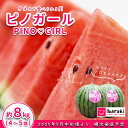 【ふるさと納税】茨城県産ピノガール約8kg(4〜5個) 先行予約【2025年5月中旬〜6月中旬ごろ発送予定】 茨城県産 フルーツ 果物 くだもの すいか スイカ...