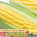 【ふるさと納税】【先行予約】とうもろこし 6kg おおもの トウモロコシ 令和8年産 朝どれ スイートコーン 朝採れ 朝採りとうもろこし約6kg(おおもの)【先行予約:2026年7月上旬~8月中旬ころ順次発送予定】