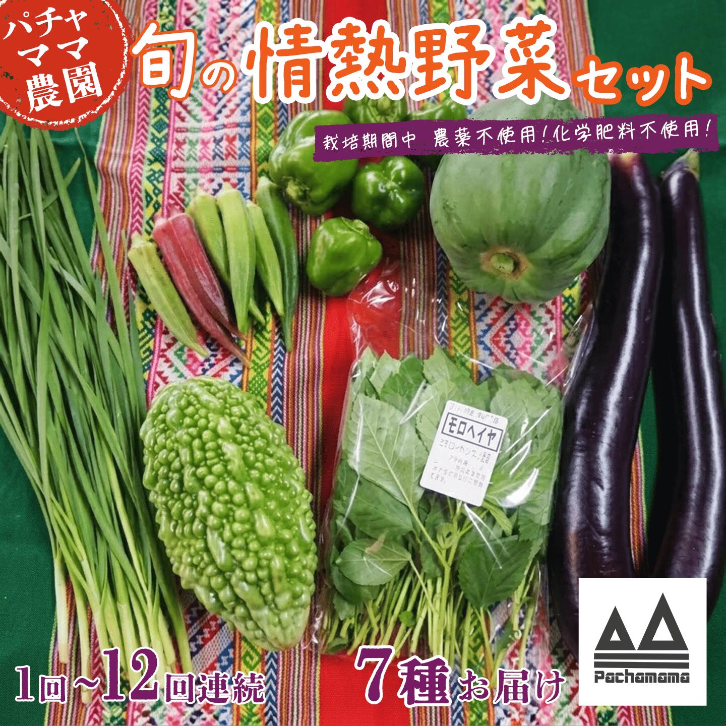 【ふるさと納税】【選べるお届け回数】農園自慢の情熱野菜セット（7種）【定期便 野菜 詰め合わせ お任せ 季節物 セット 山芋 パセリ かぶ 人参 たまねぎ 玉ねぎ ほうれん草 大根 レタス じゃがいも さつまいも とうもろこし キャベツ ピーマン なすトマト かぼちゃ】