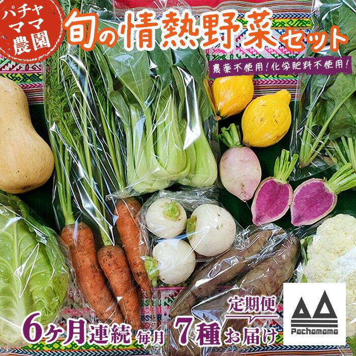 【ふるさと納税】【6ヶ月連続お届け】農園自慢の情熱野菜セット(7品)