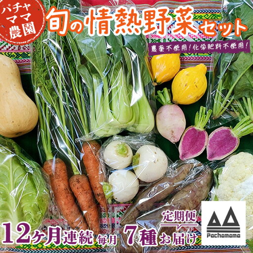 【ふるさと納税】【12ヶ月連続お届け】農園自慢の情熱野菜セット(7品) 【ふるさと納税】【12ヶ月連続お届け】農園自慢の情熱野菜セット(7品)