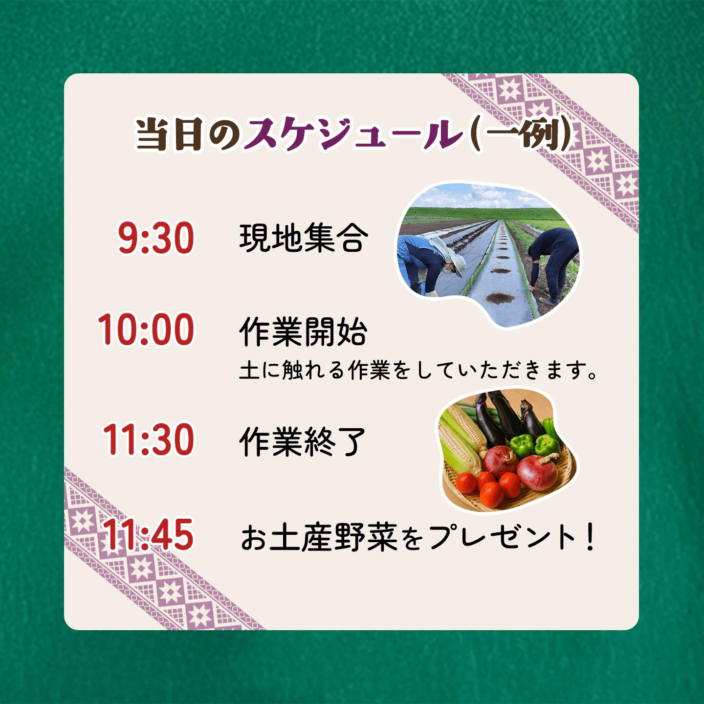 【ふるさと納税】農業体験 チケット 体験 野菜 農業体験チケット（2時間／2名～4名）+お土産野菜付き 1枚【 農業体験 収穫体験 食育 体験 野菜 農作業 家族 親子 畑 お土産 】 f082104-shimotsuma-10000943 茨城県下妻市 サンプル画像3