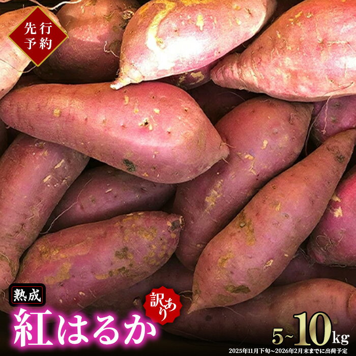 ڤդ뤵Ǽǡ66-15۰븩ĤޤֹȤϤ뤫10kg