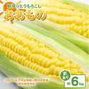 【ふるさと納税】【訳あり】下妻産朝採りとうもろこし(おおもの)約6kg【先行予約 2026年7月上旬~8月中旬ころ順次発送予定】
