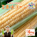 【ふるさと納税】【訳あり】下妻産朝採りとうもろこし(ミエルコーン)約6kg【とうもろこし とうきび トウモロコシ ジューシー 甘い 蜂蜜 はちみつ ミエル Miel スイーツ デザート ミエルコーン 人気 野菜 新鮮 おすすめ スイートコーン】