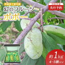 【ふるさと納税】ポポー 約1kg 4~5個 果物 フルーツ 果実 幻の果物 幻のフルーツ スイーツ 甘い 森のカスタードクリーム クリーミー 【先行予約】 幻のフルーツ ポポー 約1kg 4~5個【 2026年8月下旬 ~ 9月中旬発送予定 】