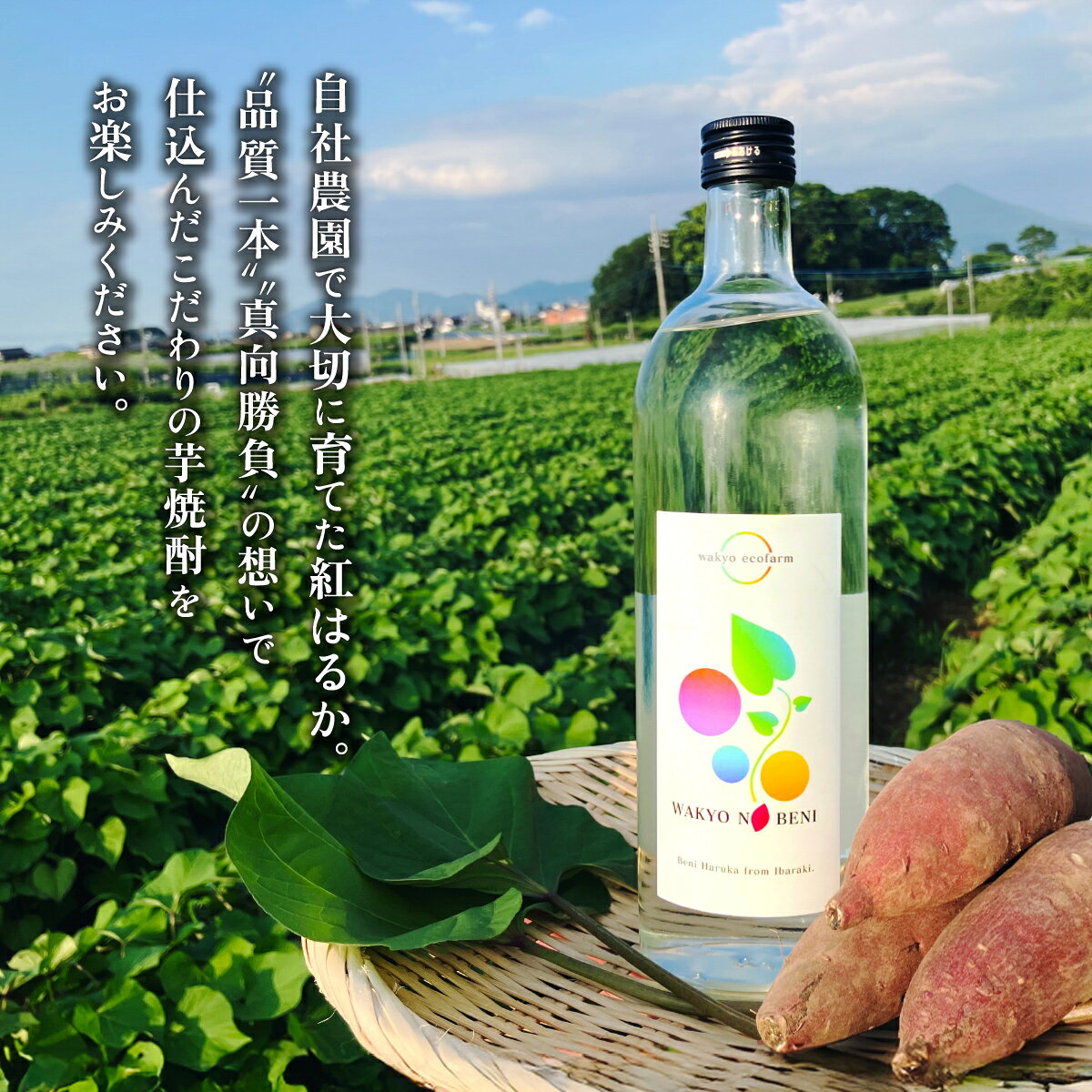 【ふるさと納税】芋焼酎 「和饗の紅」720ml 1本 ＜選べる！贈答用ラッピング なし・あり＞【 芋焼酎 お酒 甘藷 かんしょ さつまいも 紅はるか 地酒 和食 日本食 】