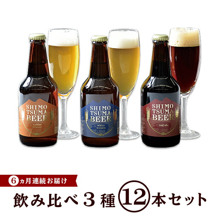 20位! 口コミ数「0件」評価「0」ビール 定期便 14-10【6ヵ月連続お届け】しもつまクラフトビール12本セット