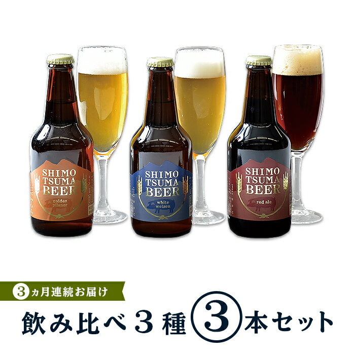 59位! 口コミ数「0件」評価「0」ビール 定期便 14-3【3ヵ月連続お届け】しもつまクラフトビール3本セット