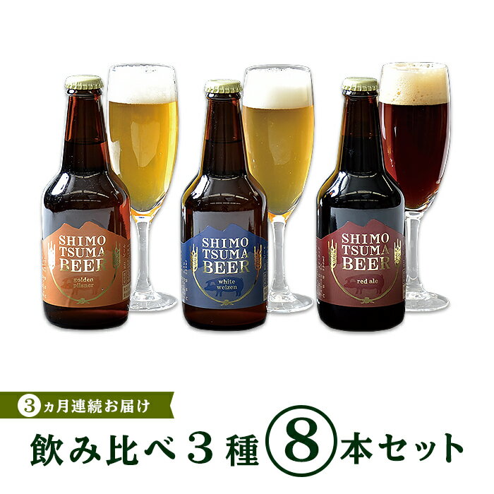 24位! 口コミ数「0件」評価「0」ビール 定期便 14-6【3ヵ月連続お届け】しもつまクラフトビール8本セット