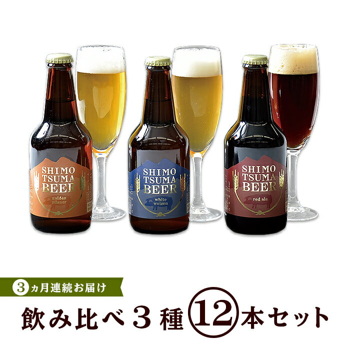 【ふるさと納税】ビール 定期便 14-9【3ヵ月連続お届け】しもつまクラフトビール12本セット