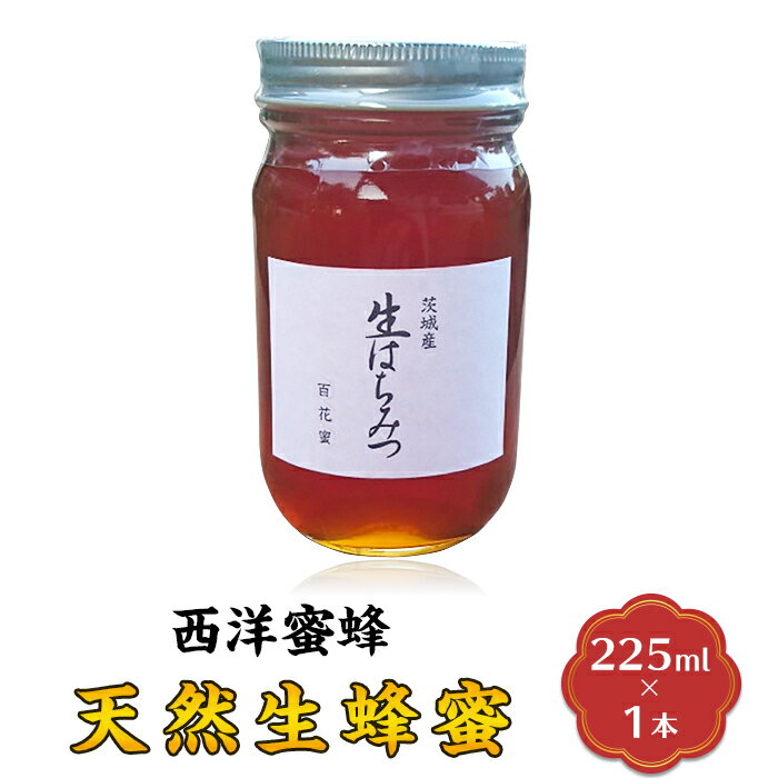 【ふるさと納税】はちみつ 国産 生はちみつ 生蜂蜜 生ハチミツ 52-03天然生蜂蜜（西洋蜜蜂）