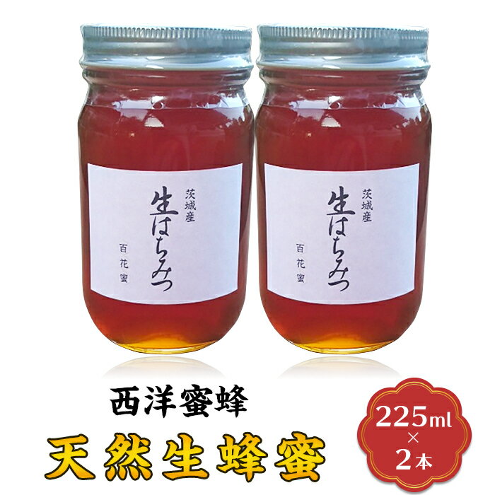 【ふるさと納税】【先行予約】はちみつ 国産 生はちみつ 生蜂蜜 生ハチミツ 天然生蜂蜜(西洋蜜蜂)2本セット【2025年6月上旬から順次発送予定】
