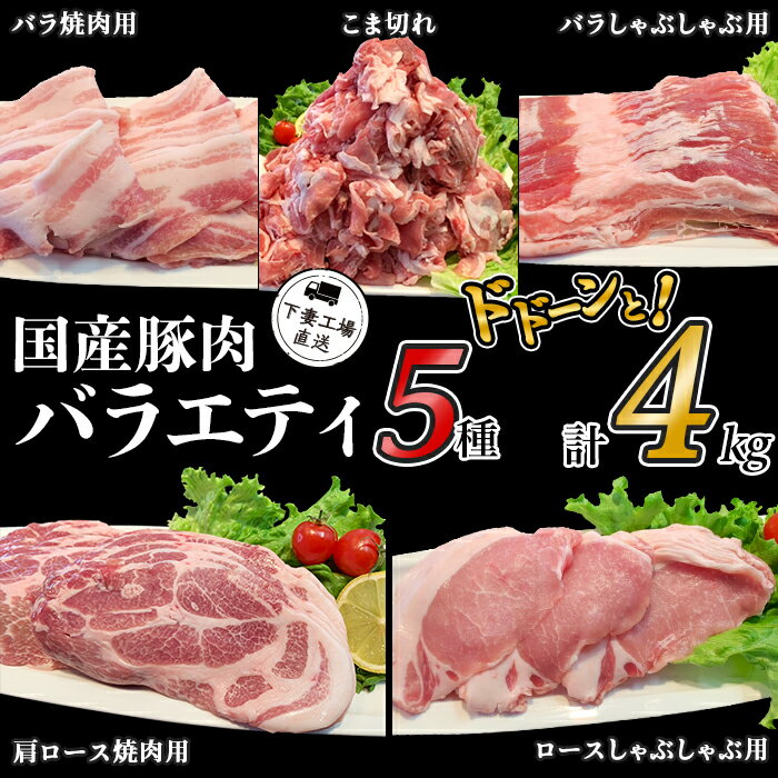 肉 豚肉 国産 小分け 冷凍 真空 5種 4kg お楽しみ セット こま切れ ロース バラ しゃぶしゃぶ 焼肉 切り落とし 小間 コマ 便利 57-3国産豚肉バラエティ5種セット4kg(小分け真空包装)[下妻工場直送]