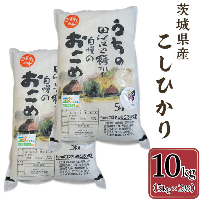 茨城県産こしひかり10kg(5kg×2袋)