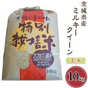 26位! 口コミ数「1件」評価「5」58-3茨城県産ミルキークイーン（玄米）10kg 米 健康 お米 白米 精米 人気 おすすめ