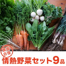 【ふるさと納税】59-1農園自慢の情熱野菜セット（9品）