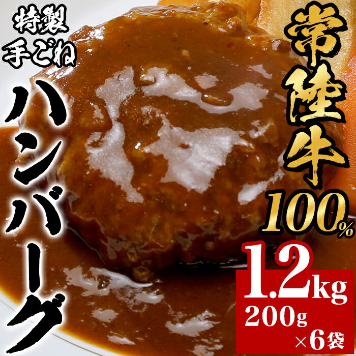 【ふるさと納税】黒毛和牛 66-4【常陸牛100%】特製手ごねハンバーグ1.2kg 200g 6袋 