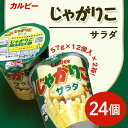 【ふるさと納税】じゃがりこ 68-2カルビーじゃがりこサラダ2箱（57g×24個）【下妻工場産】