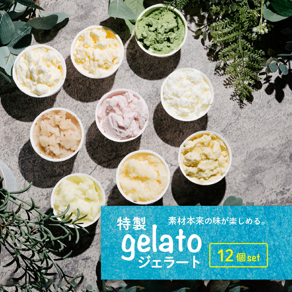 【ふるさと納税】特製ジェラート 12個入り【アイス ジェラート アイスクリーム デザート 夏 冷たい スイーツ ご当地 おまかせ 秋 バニ..