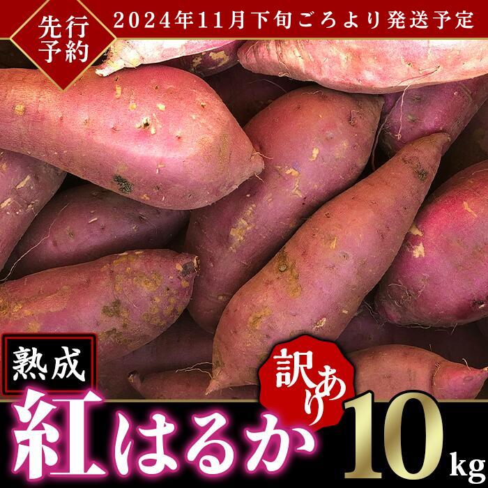 1位! 口コミ数「5件」評価「4.8」【先行予約】【訳あり】茨城県産熟成さつまいも「紅はるか」10kg【2024年11月下旬ごろ順次発送】