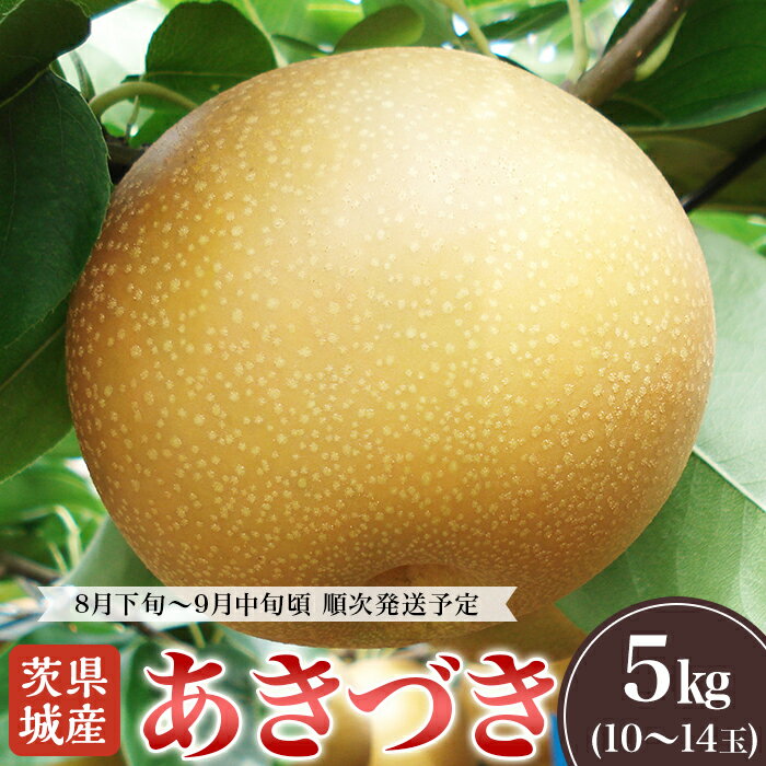 【ふるさと納税】2024先行予約 果物 梨 茨城県産 なし 5kg 10～14玉 あきづき 旬 フルーツ くだもの 光センサー選別 【先行予約】茨城県産「あきづき」約5kg【2024年8月下旬～9月中旬にかけて発送予定】のサムネイル