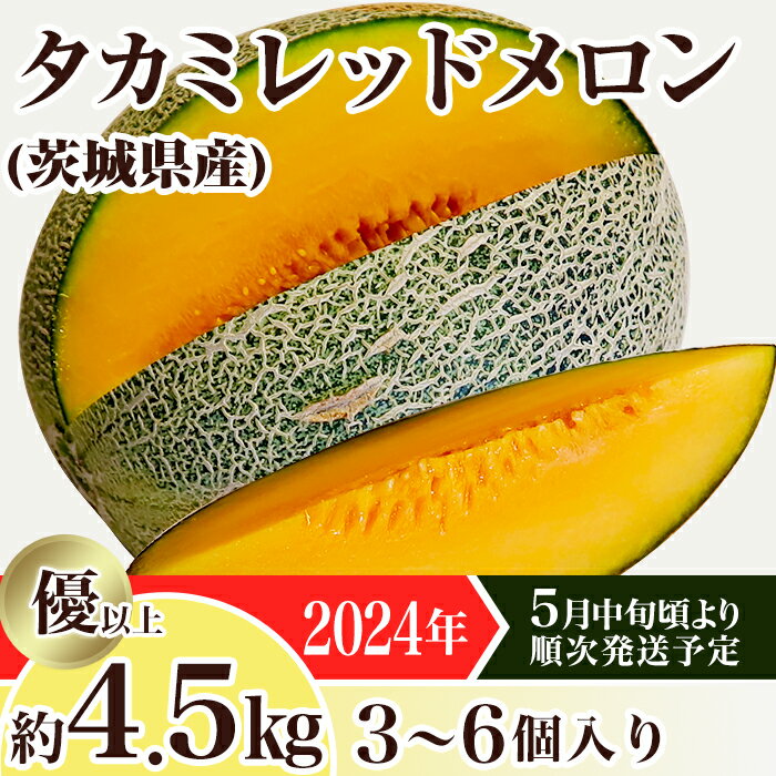 メロン タカミメロン 赤肉 2024年 先行予約 果物 茨城県 茨城県産 旬 フルーツ くだもの 12-19茨城県産タカミレッドメロン約4.5kg(3〜6個)母の日 おすすめ 人気 グルメ[2024年5月中旬〜6月下旬ごろ発送予定]