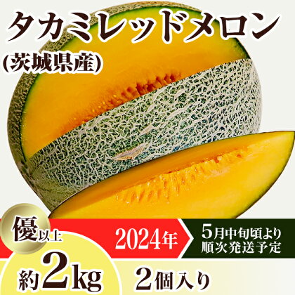 メロン タカミメロン 赤肉 2024年 先行予約 果物 茨城県 茨城県産 旬 フルーツ くだもの 12-20茨城県産タカミレッドメロン約2kg（2個）【2024年5月中旬～6月下旬ごろ発送予定】