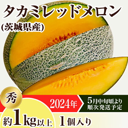 メロン タカミメロン 赤肉 2024年 先行予約 果物 茨城県 茨城県産 旬 フルーツ くだもの 12-21茨城県産タカミレッドメロン【秀品】1個（1kg以上）【2024年5月中旬～6月下旬ごろ発送予定】