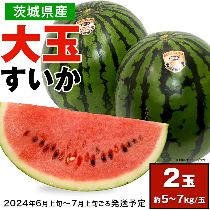 【ふるさと納税】12-24茨城県産大玉すいか2玉セット（約5～7kg/玉）母の日 おすすめ 人気 グルメ【2024年6月上旬～7月上旬ごろ発送予定】