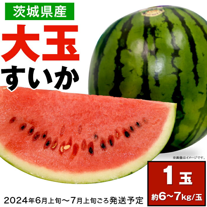 【ふるさと納税】2024先行予約 果物 すいか スイカ 大玉スイカ 茨城県 茨城県産 旬 フルーツ くだもの 1玉 12-25茨城県産大玉すいか1玉（約6～7kg）【2024年6月上旬～7月上旬ごろ発送予定】