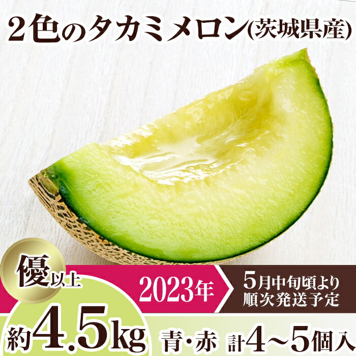 【ふるさと納税】12-2茨城県産2色のタカミメロン約4.5kg（4～5個）【2023年5月中旬～6月下旬ごろ発送予定】