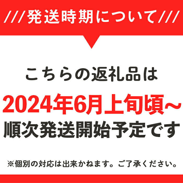 【ふるさと納税】12-24茨城県産大玉すいか2玉セット（約5～7kg/玉）【2024年6月上旬～7月上旬ごろ発送予定】