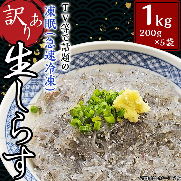 【ふるさと納税】訳あり 不揃い 生しらす 1kg しらす 刺身 冷凍 真空パック 国産 凍眠 66-50【訳あり】生しらす1kg【TV等で話題の凍眠（急速冷凍）】【2023年4月上旬より順次発送予定】