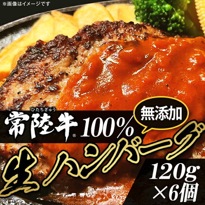 牛肉 黒毛和牛 常陸牛 ハンバーグ 冷凍 国産 贅沢 生ハンバーグ120g×6個【常陸牛】100％