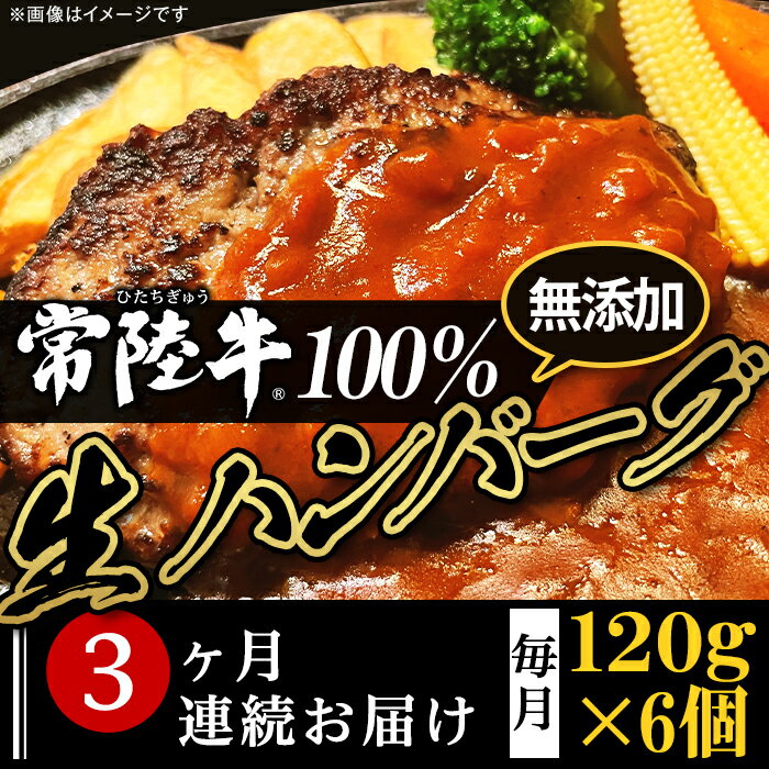 定期便 3回 牛肉 黒毛和牛 常陸牛 ハンバーグ 冷凍 国産 贅沢 生ハンバーグ120g×6個[常陸牛]100%[3ヶ月連続お届け]