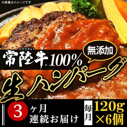 定期便 3回 牛肉 黒毛和牛 常陸牛 ハンバーグ 冷凍 国産 贅沢 生ハンバーグ120g×6個【常陸牛】100％【3ヶ月連続お届け】