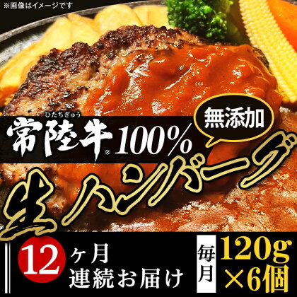 定期便 12回 牛肉 黒毛和牛 常陸牛 ハンバーグ 冷凍 国産 贅沢 生ハンバーグ120g×6個【常陸牛】100％【12ヶ月連続お届け】