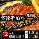 【ふるさと納税】定期便 12回 牛肉 黒毛和牛 常陸牛 ハンバーグ 冷凍 国産 贅沢 生ハンバーグ120g×12個【常陸牛】100％【12ヶ月連続お届け】