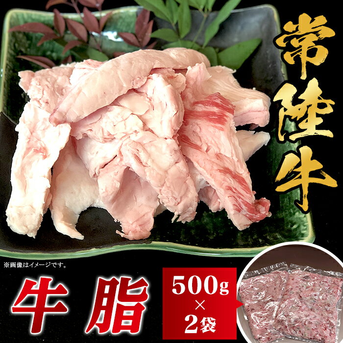 牛肉(その他)人気ランク11位　口コミ数「0件」評価「0」「【ふるさと納税】油 食品 甘み 旨み 和牛 常陸牛 牛脂 1kg 500g×2袋 茨城県産 ブランド和牛 66-97」