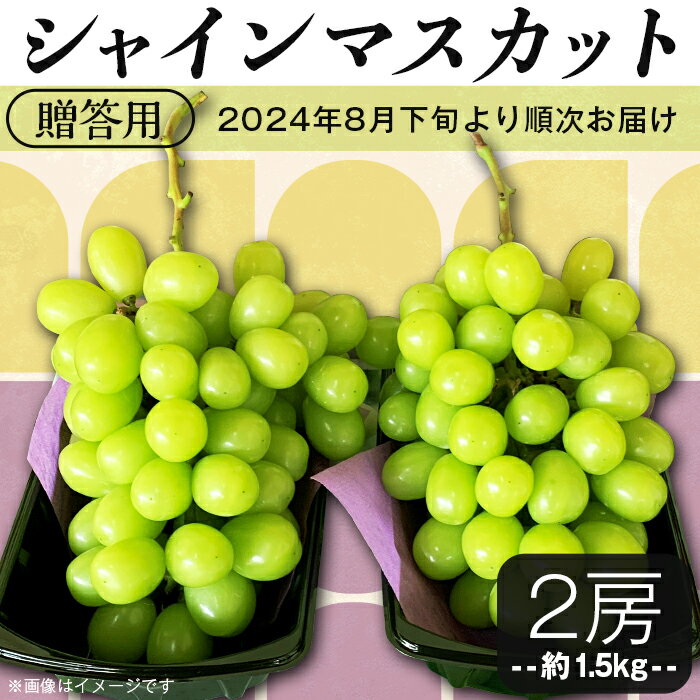 ・ふるさと納税よくある質問はこちら ・寄付申込みのキャンセル、返礼品の変更・返品はできません。 　あらかじめご了承ください。 商品詳細 名称 シャインマスカット2房（約1.5kg）贈答用【石崎ぶどう園】 産地名 茨城県下妻市 内容量 シャイ...