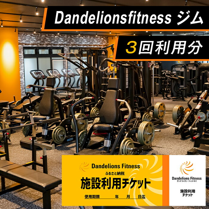 トレーニング ダイエット 筋トレ 健康 体調改善 肉体改造 ジム利用チケット×3回(Dandelionsfitness)