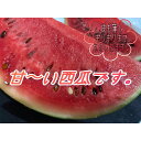 茨城県常総市の画像2