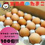 【ふるさと納税】 天王原のたまご サクセス 卵 50個 / ロイヤル 卵 50個