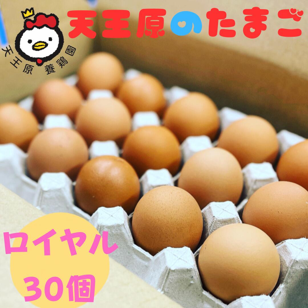 【ふるさと納税】 天王原のたまご ロイヤル 卵 30個 入りのサムネイル