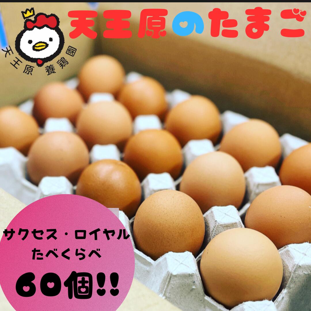【ふるさと納税】天王原のたまご サクセス 卵 30個 / ロイヤル 卵 30個
