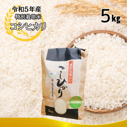 令和五年産特別栽培米 コシヒカリ 5kg お米 こしひかり 米 こめ 精米 ご飯 ライス おにぎり