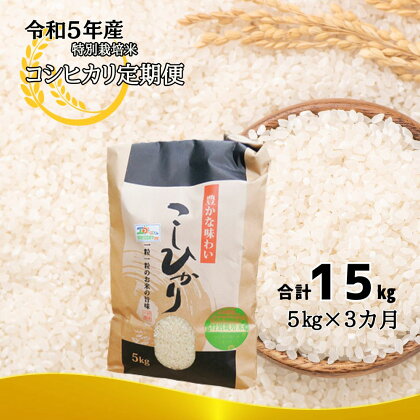 定期便3ヶ月お届け 令和五年産特別栽培米 コシヒカリ 5kg 合計15kg こしひかり 米 こめ 精米 ご飯 ライス おにぎり